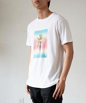 RAINBOW PALM GENDERLESS T